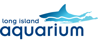 Long Island Aquarium