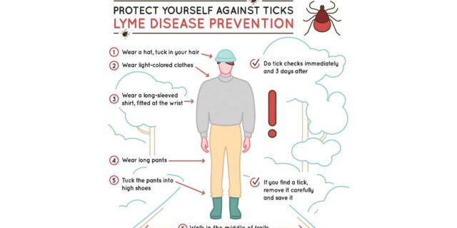 How to protect yourself against ticks