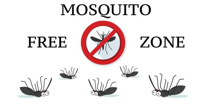 Mosquito Circle