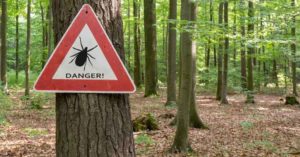 A "Danger" sign for ticks.