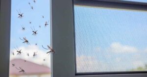 mosquitos on screen