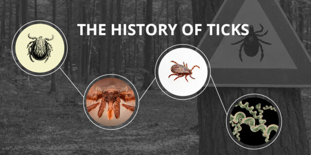 The history of ticks