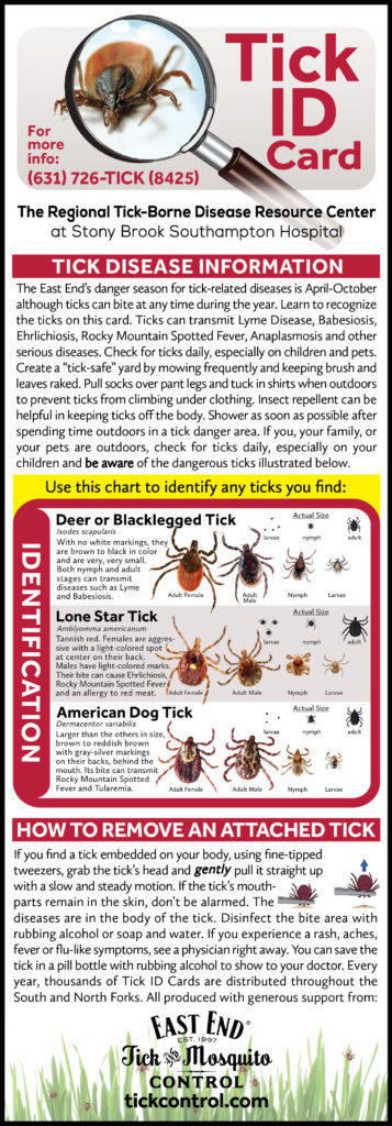 Long Island Tick Identification