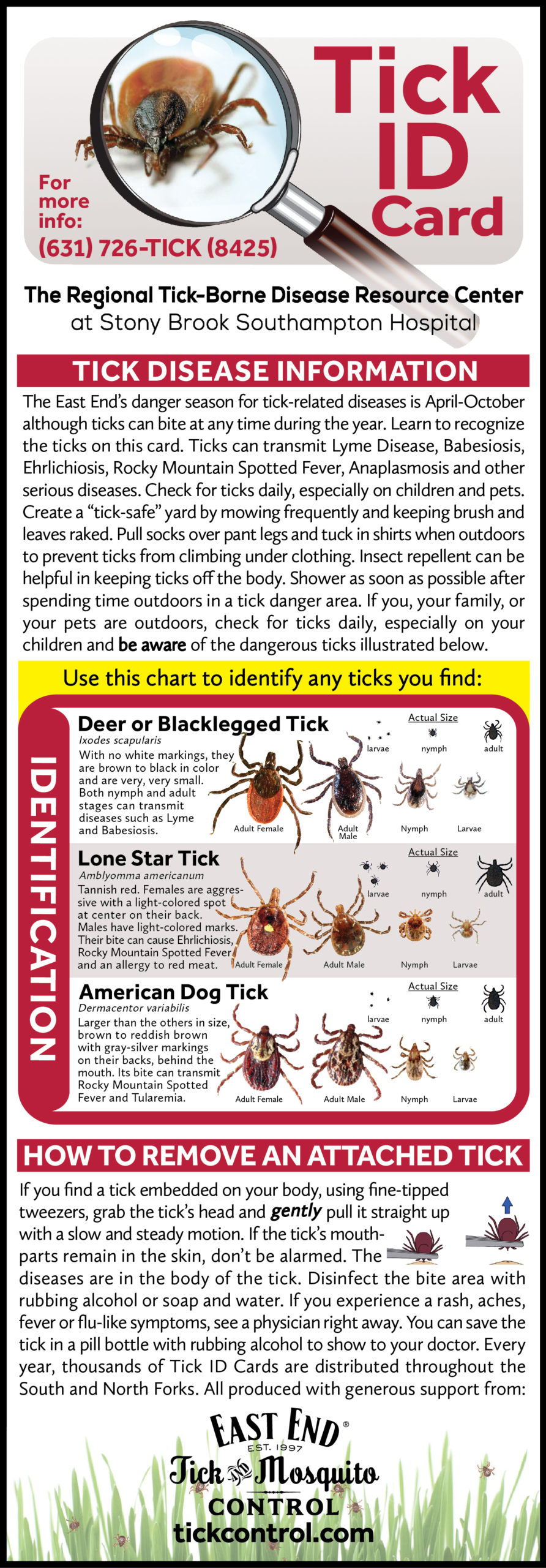 unfed tick identification chart