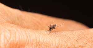 Mosquito biting finger