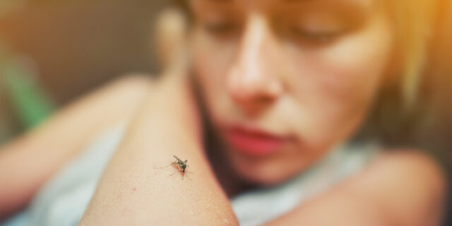 Mosquito biting a woman's arm.