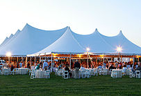 Protect Guests at Outdoor Weddings with Yard Spraying