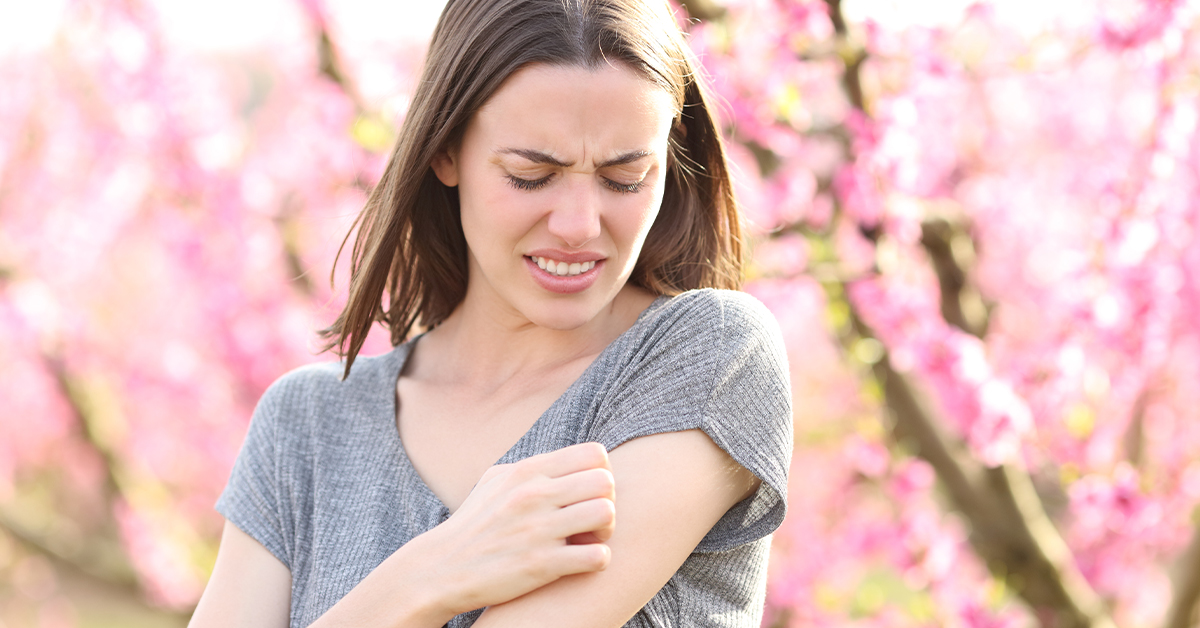 When Is the Best Time To Begin Mosquito Control Services?