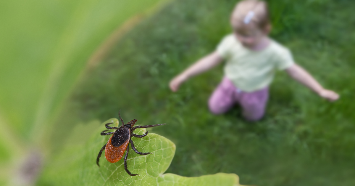 Protecting Kids From Ticks