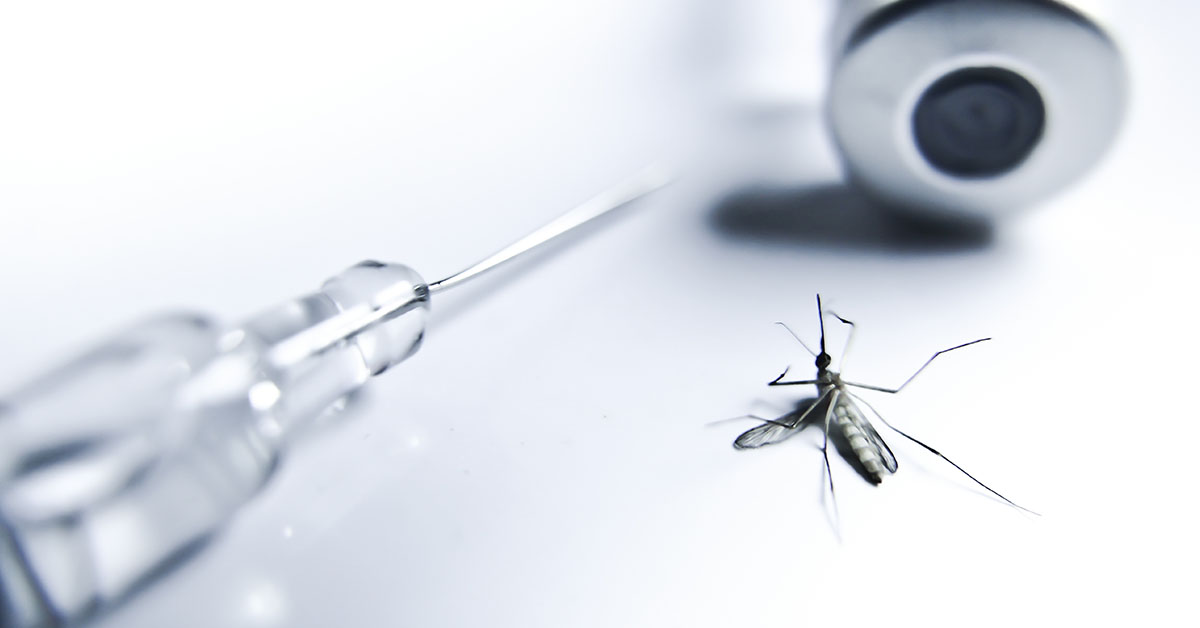 The Malaria Vaccine Fact Sheet