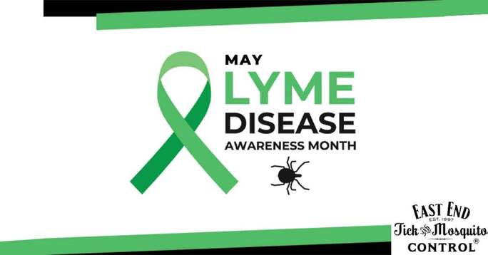 Lyme Disease Awareness Month: 12 Tips To Protect Yourself From Ticks