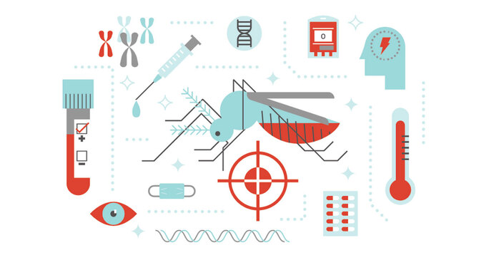 Mosquitos and The Diseases They Carry