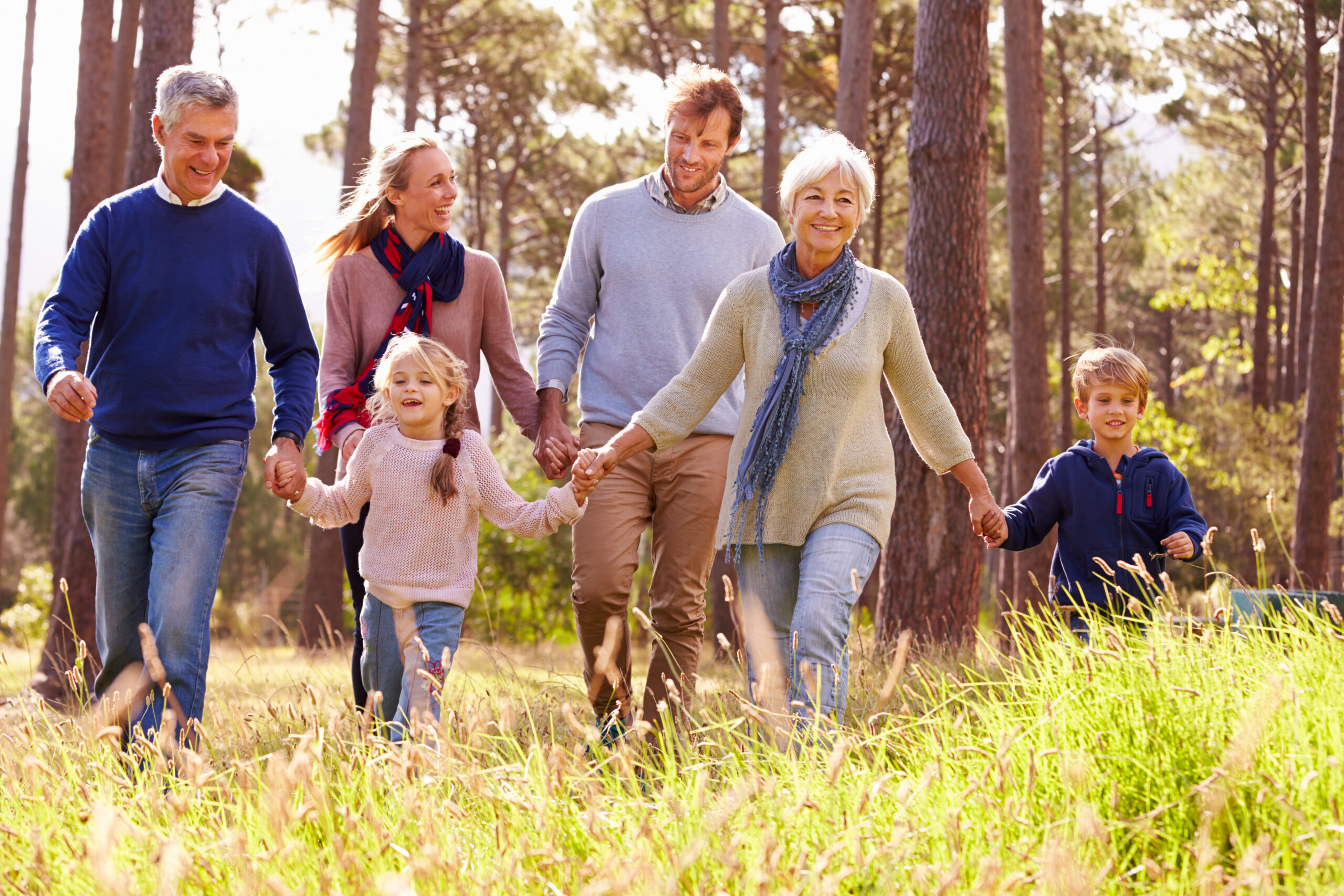 Tick and Mosquito Prevention: Eastern Long Island and the Hamptons