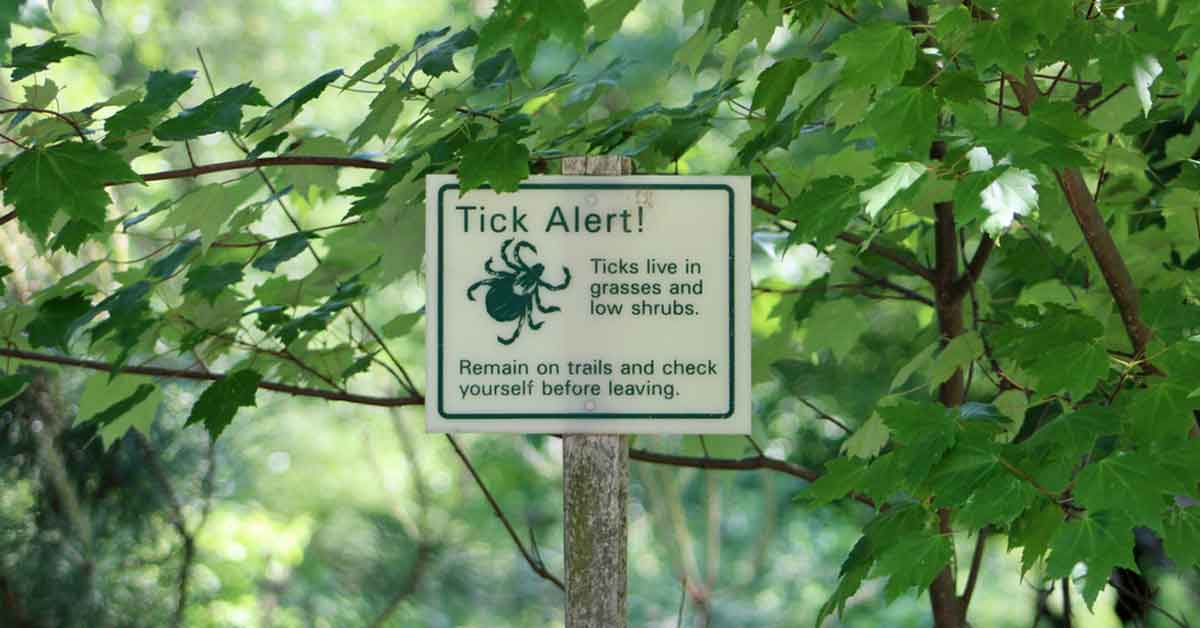 Fall Tick Bite Prevention Tips