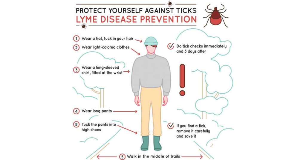 3 Tips to Protect Yourself from Ticks this Spring | Tick Control