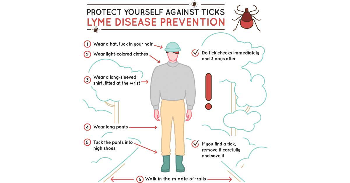 How to Protect Yourself from Ticks this Spring