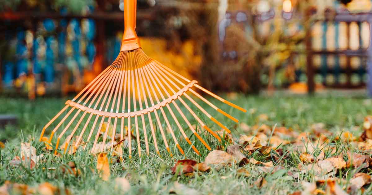 Planning Your Winter Tick Prevention