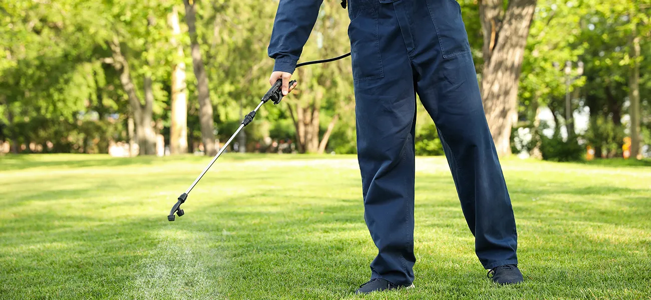 Pest control technician spraying insect treatment on a patch of green lawn