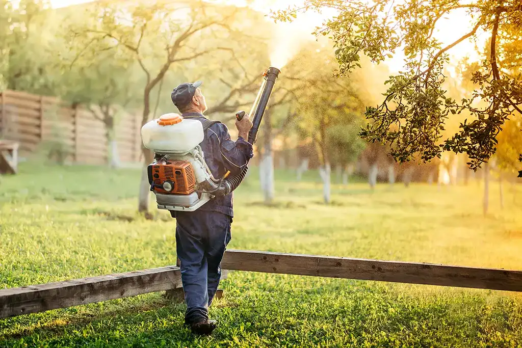 Pest control expert spraying mosquito treatment to tall grass