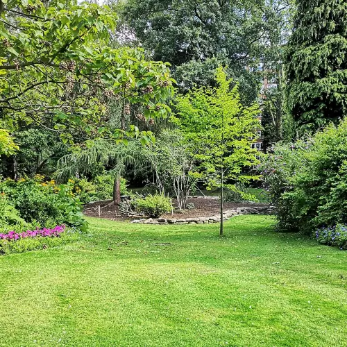 Well-maintained backyard with green lawn, trees, and shrubs, an area commonly treated with pest control to prevent insects